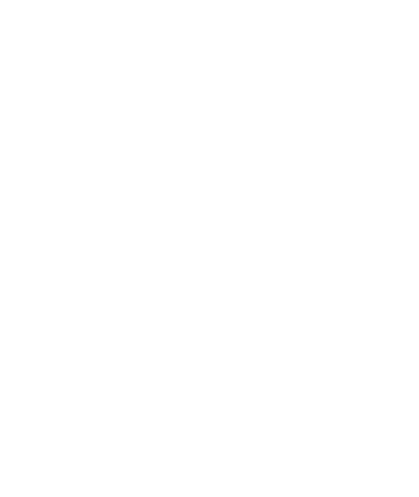 Safari Wallet KE